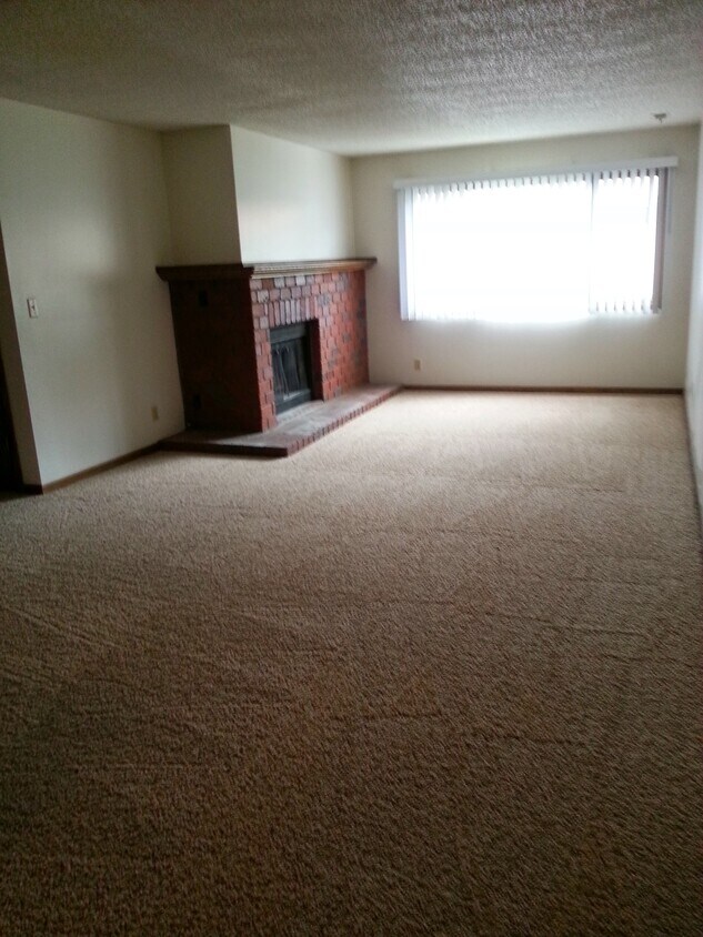 living room with fireplace - 2935 Q St