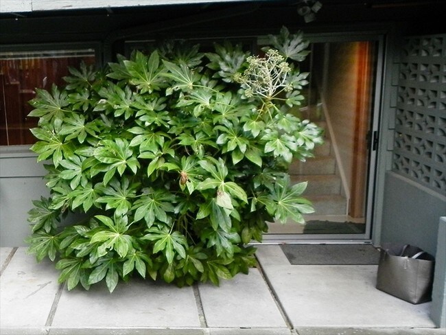 Foto del edificio - 8715 27th Ave NE