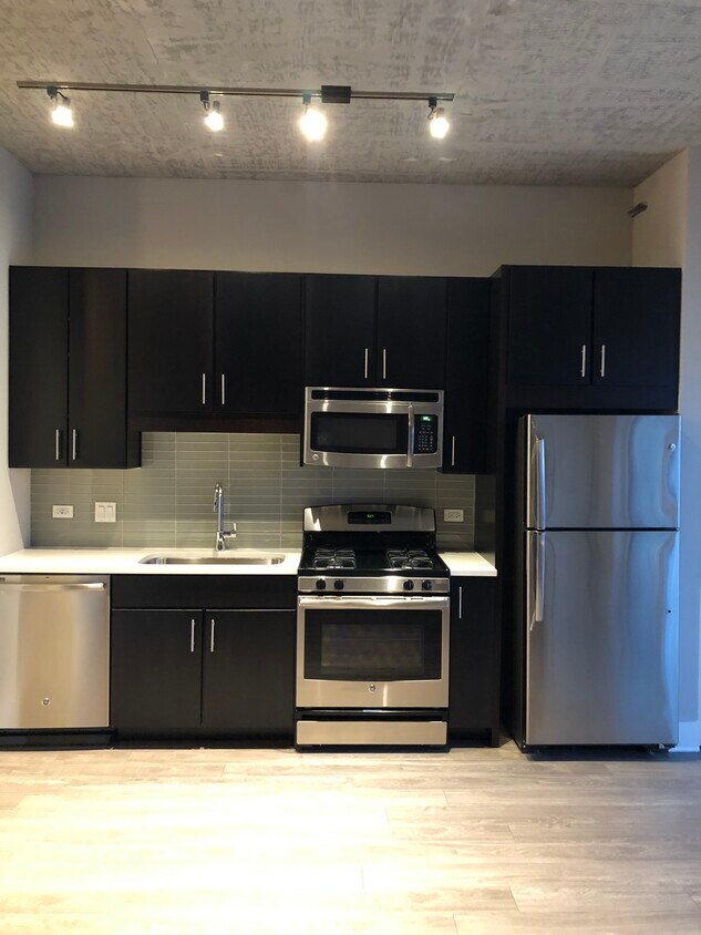 124 W Polk St Unit 219, Chicago, IL 60605 Condo for Rent in Chicago