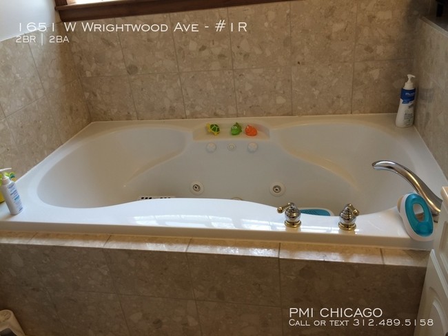 Building Photo - GORGEOUS Lincoln park apt - 2full ba,2car,...