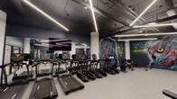 This dynamic fitness center is designed to energize and inspire at every turn. The main workout floor is defined by its dark, industrial aesthetic — featuring exposed ceilings with linear LED lighting, dark painted walls, and durable speckled rubber flooring throughout. A standout feature of the space is its bold, large-scale street art murals depicting vivid animals and motivational phrases, including a striking lion, an owl, a colorful elephant, a penguin, and an armored figure, each covering entire wall sections and adding a distinctive urban energy to the environment.

The cardio zone is well-equipped with a row of treadmills, ellipticals, and rowing machines from True Fitness, complemented by large wall-mounted televisions. The strength training area offers a selection of cable machines, weight benches, dumbbells, and functional training equipment, all arranged across a spacious open floor. Full-length mirrors line sections of the walls to support form and technique.

A separate studio room provides a versatile space for classes and individual training, featuring light hardwood flooring, wall-mounted ballet barres, floor-to-ceiling mirrors, and a mounted flat-screen television. A glass partition connects the studio visually to the main gym floor. The facility also includes a compact, flexible room suited for yoga, stretching, or personal training sessions.