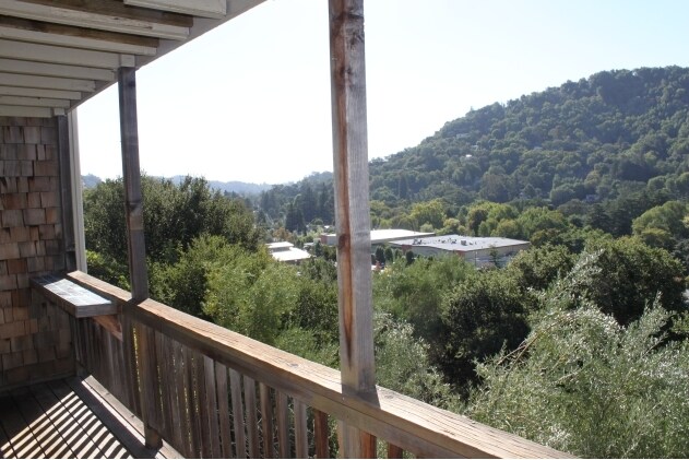 Foto del edificio - 103 Live Oaks Ave
