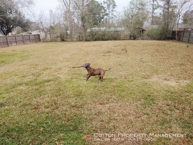 Building Photo - 3BR/2BA - 1,350/month - *Pet Friendly*