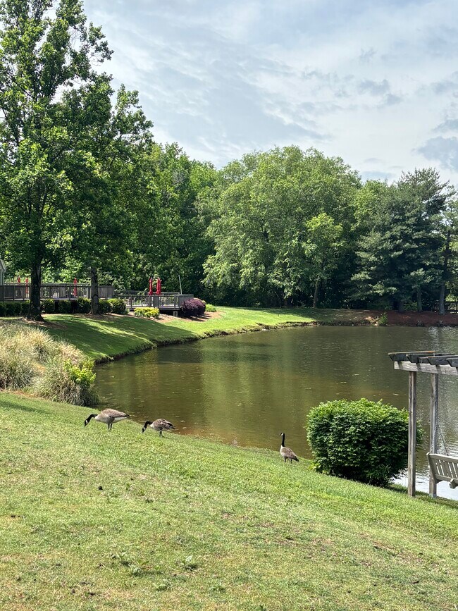 Foto del edificio - 144 Forest Lake Dr