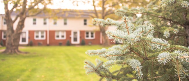Foto del edificio - Amherst Gardens