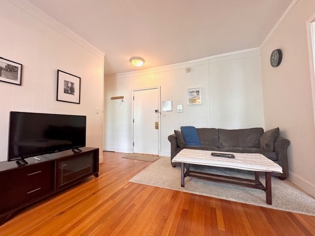 Primary Photo - 36 Winchester St
