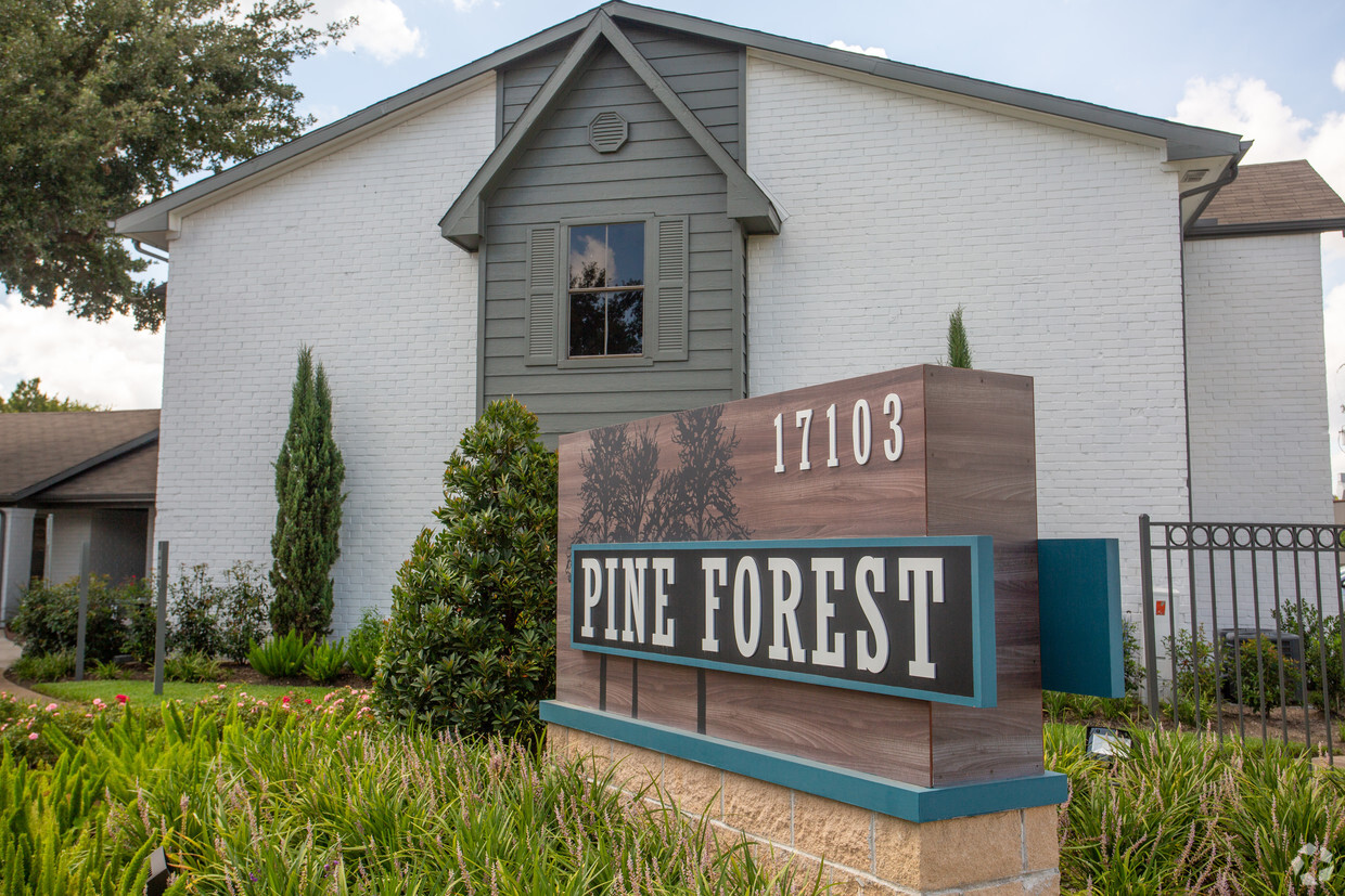 Primary Photo - Pine Forest Apartments