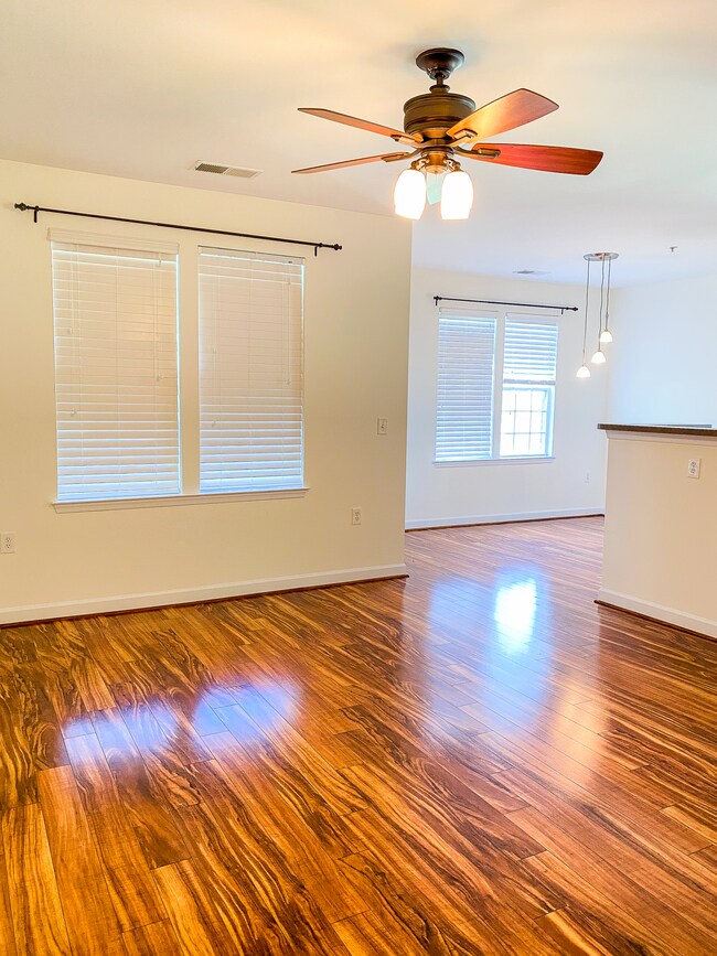 Living Room - 22710 Blue Elder Ter