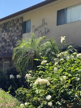 Building Photo - 312 E Live Oak St