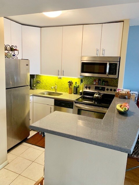 Foto del edificio - 1360 N Sandburg Terrace