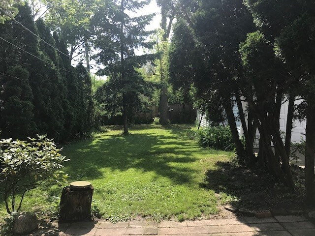 Building Photo - 229 Thelin Ct