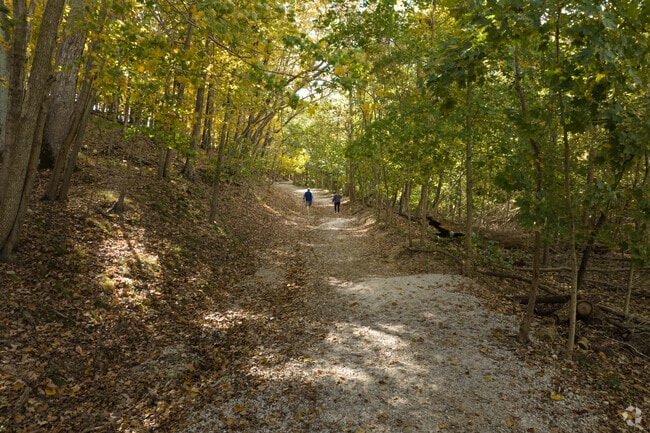 The rugged Lone Wolf Trail is a moderate climb to an amazing bluff view.