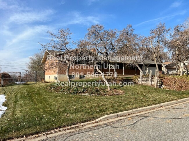 Building Photo - Beautiful 4 Bedroom 2 Bath Home in Fruit H...