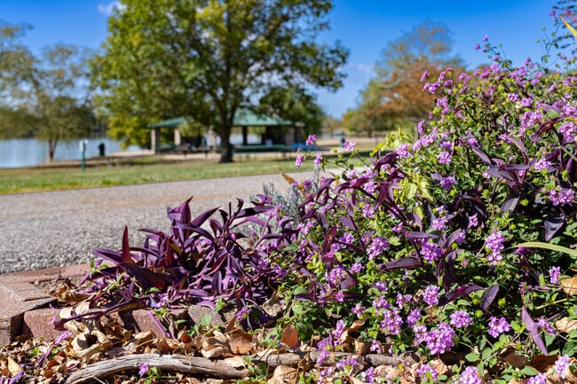 Bright lavender flowers add color to paths along the Creve Coeur Lake in Maryland Heights.