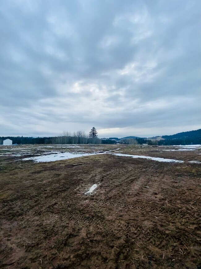 Building Photo - Country Setting on 5 Acres!