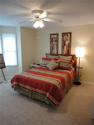 Foto del diseño de interior - Walnut Springs