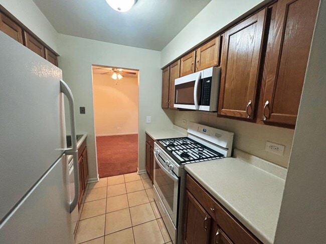 Building Photo - 1 bedroom in Lake Zurich IL 60047