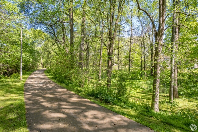 Enjoy an afternoon stroll at the Trolley Line Trail.