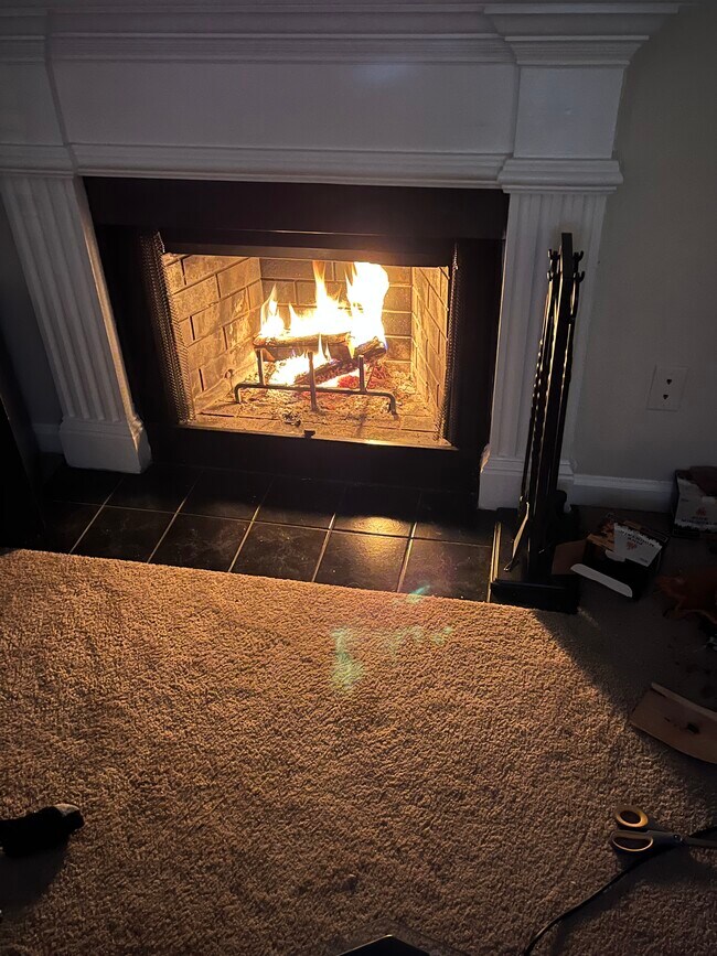 Fireplace - 3306 Spring Meadow Dr