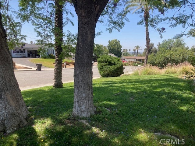Building Photo - 515 Alta Mesa Dr