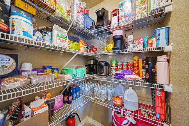 Foto del edificio - 3874 Winter Sun Dr