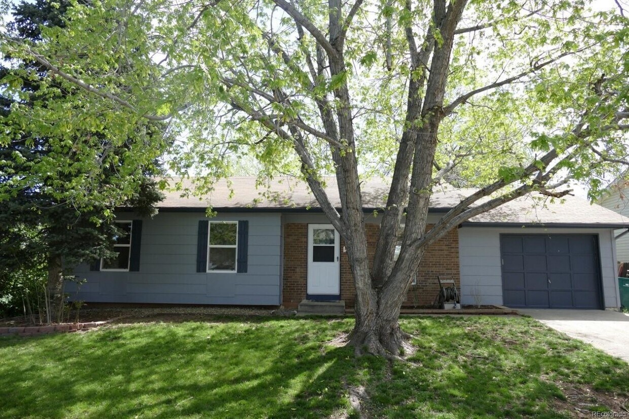 4672 S Yank St, Morrison, CO 80465 House Rental in Morrison, CO