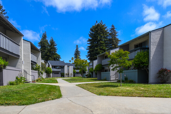 Building Photo - Emerald Bay Apartments