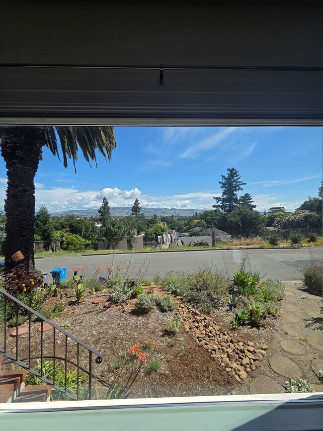 Building Photo - Westside Petaluma 2bd 1bth Home