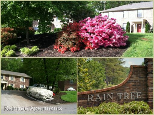Primary Photo - 600 Rain Forest Dr
