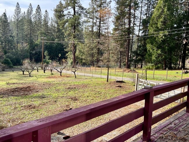 Building Photo - Pine Grove Guest House for rent