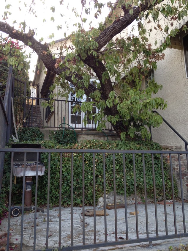 Private Yard - 2496 1/2 Silver Ridge Ave