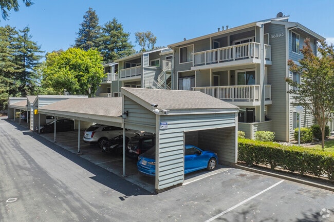 Meadow Brook Village