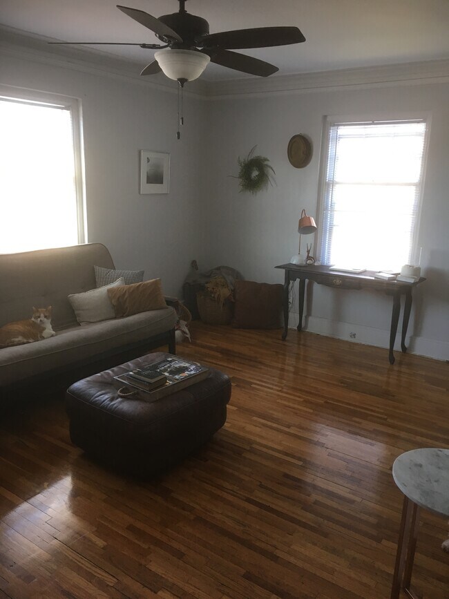 Living room - 569 Portland Ave