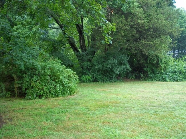 Spacious back yard - 33A Bridge St