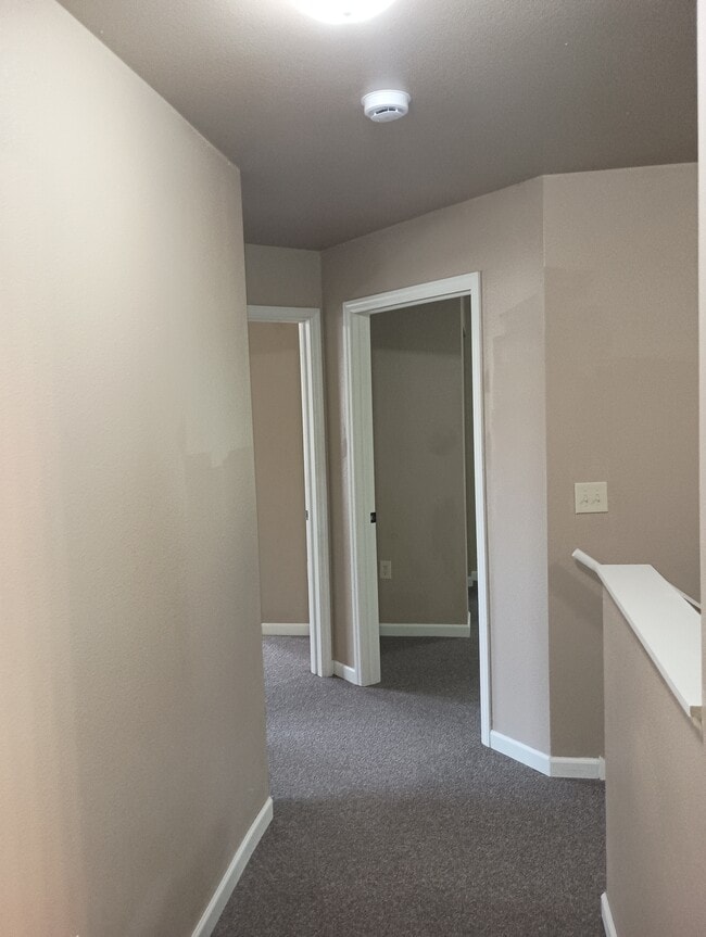 Hallway - The Doolittle