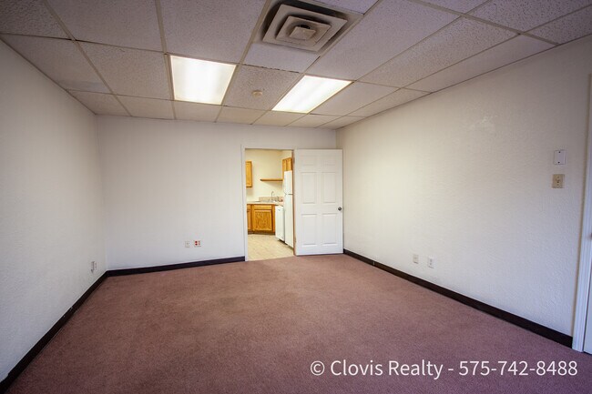 Living Room - 519 Pile St