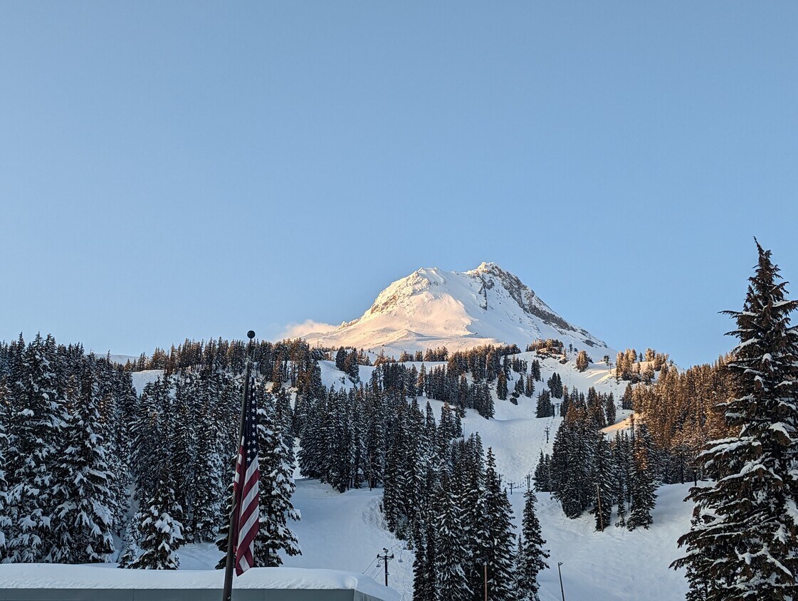 30011 E Alpen Way, Government Camp, OR 97028 House Rental in