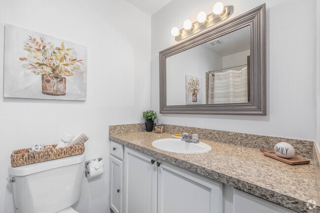 1BR, 1BA - 625SF - Bathroom - Red Carpet Apartments