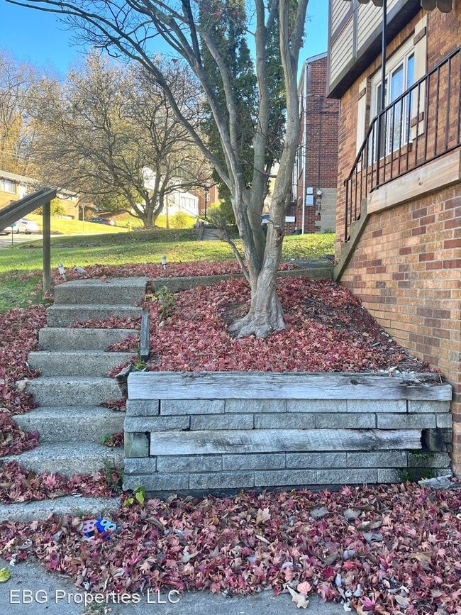 Building Photo - 3 br, 1 bath House - 239 Jacob Dr