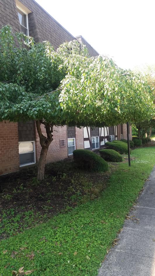 Foto del edificio - 4151 Logan Gate Rd