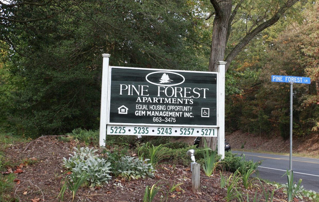 Pine Forest Apartments King George Va Apartments Com