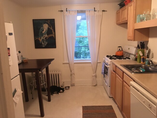 Kitchen - 37 Court St
