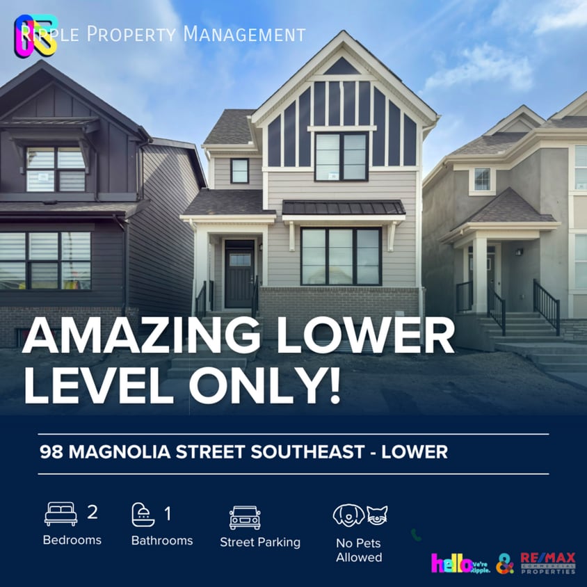 Primary Photo - AMAZING 2 BEDS/ 1 BATHS LOWER LEVEL ONLY!