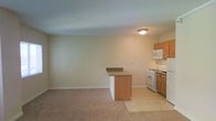 This single-floor space features an open-concept design that seamlessly connects the living area and kitchen, creating a cohesive and functional layout. The living area is finished with soft wall-to-wall carpeting in a neutral tone, contributing to a warm and inviting atmosphere. Smooth, light-colored walls provide a clean backdrop throughout the space, complemented by flush ceiling lighting that ensures even illumination. The kitchen is efficiently arranged with medium-toned wood cabinetry offering ample storage, a granite-patterned countertop, and white appliances including a gas range and overhead microwave. A peninsula with a matching countertop separates the kitchen from the living area, serving as both a functional workspace and a subtle visual divider between the two zones. The kitchen flooring transitions to light-colored tile, providing a practical and easy-to-maintain surface. The overall design emphasizes a clean, straightforward aesthetic with neutral finishes throughout, making the space highly adaptable to a variety of furnishing styles. The open floor plan and unobstructed wall space enhance the sense of roominess and versatility within the unit.