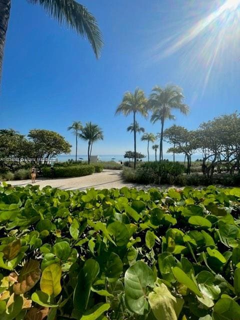 Primary Photo - 10275 Collins Ave