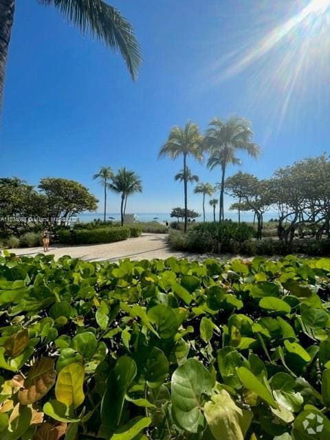 Building Photo - 10275 Collins Ave