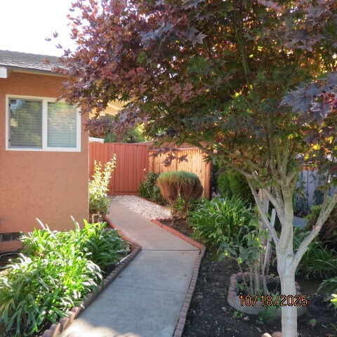 Walkway Entrance - 2132 Town and Country Ln