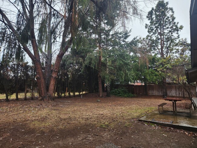 Foto del edificio - Near Chestnut Ave 3 br 1.5 ba all on one l...