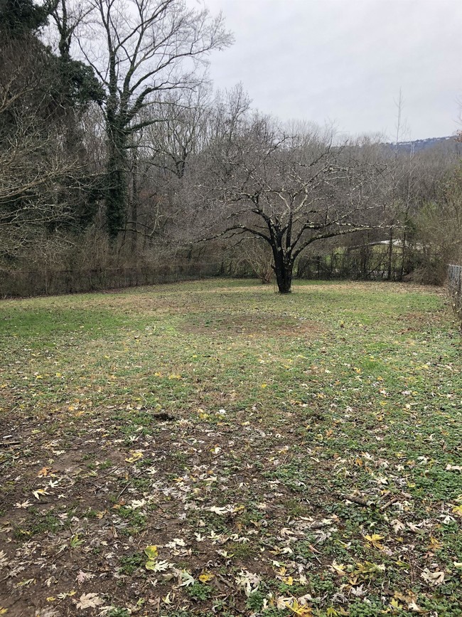 Building Photo - 3 bedroom in Chattanooga TN 37410