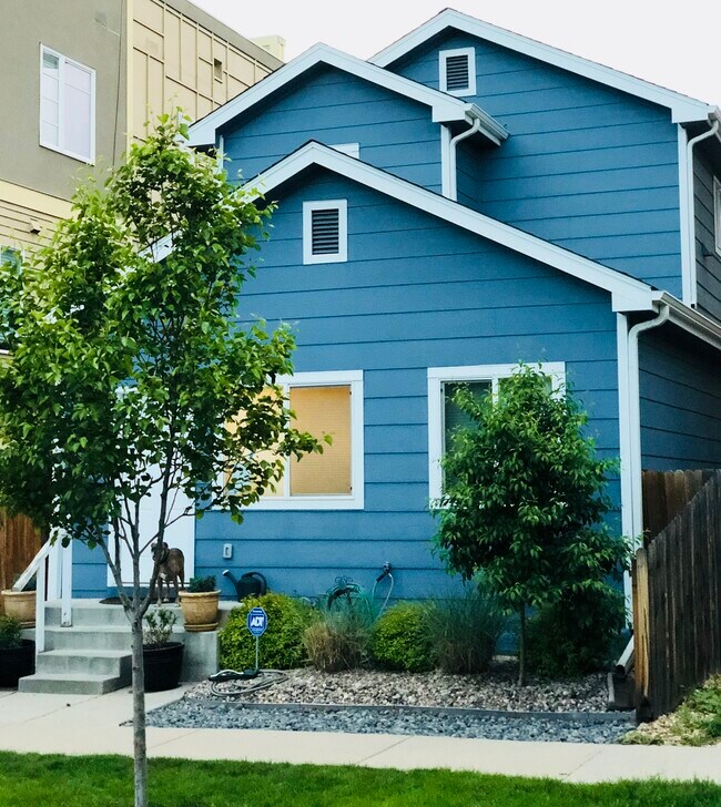 Single-family, no shared walls! Tree by lower bedroom window for privacy - 2947 Lawrence St